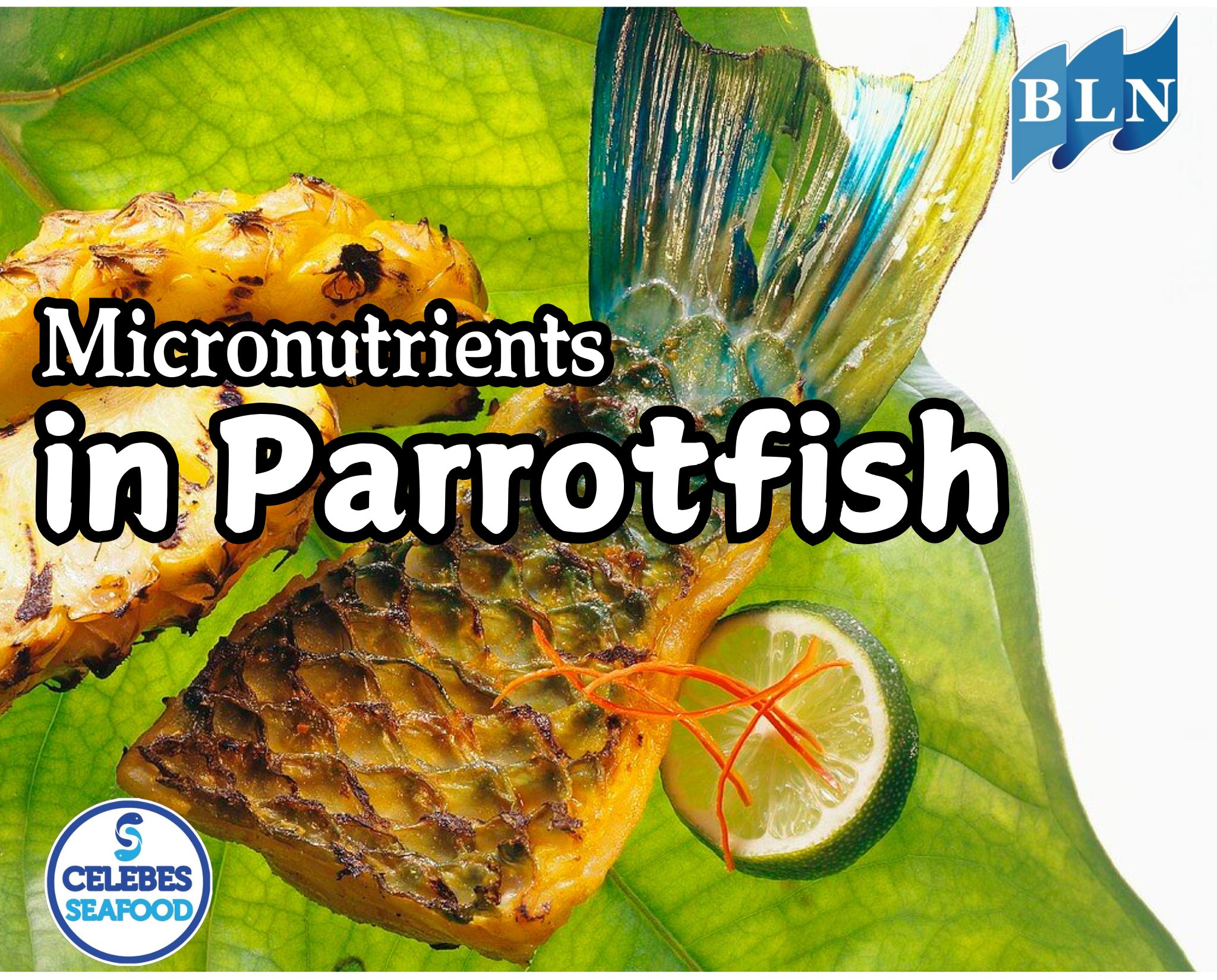 The Role of Micronutrient Content in Parrotfish